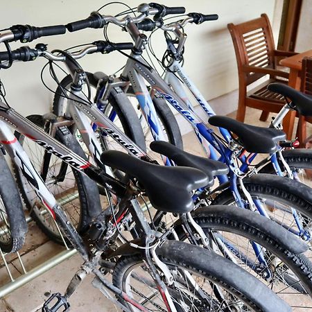 Agriturismo Al Tralcio Valeggio sul Mincio Eksteriør billede