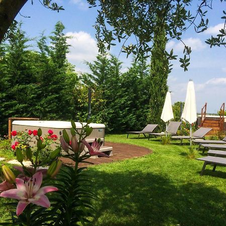 Agriturismo Al Tralcio Valeggio sul Mincio Eksteriør billede