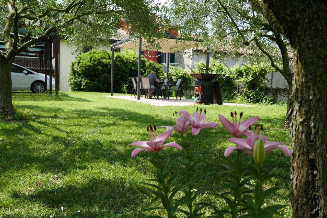 Agriturismo Al Tralcio Valeggio sul Mincio Eksteriør billede