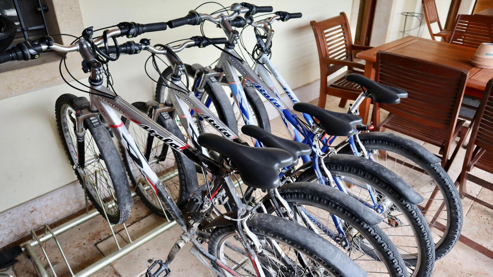 Agriturismo Al Tralcio Valeggio sul Mincio Eksteriør billede